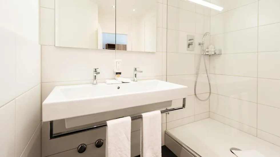 בזל Central City Hotel Rochat 3*,